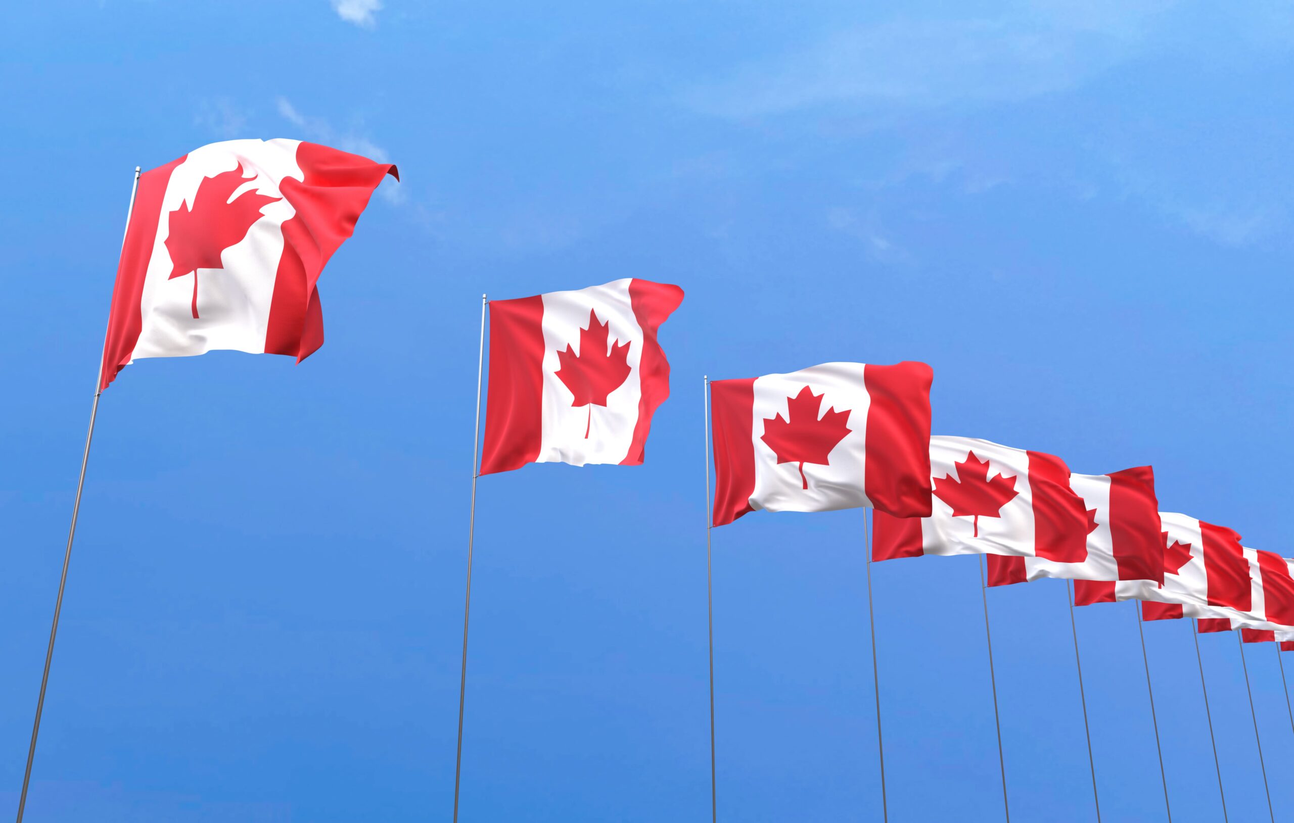 Drapeau du canada sur fond bleu (1)