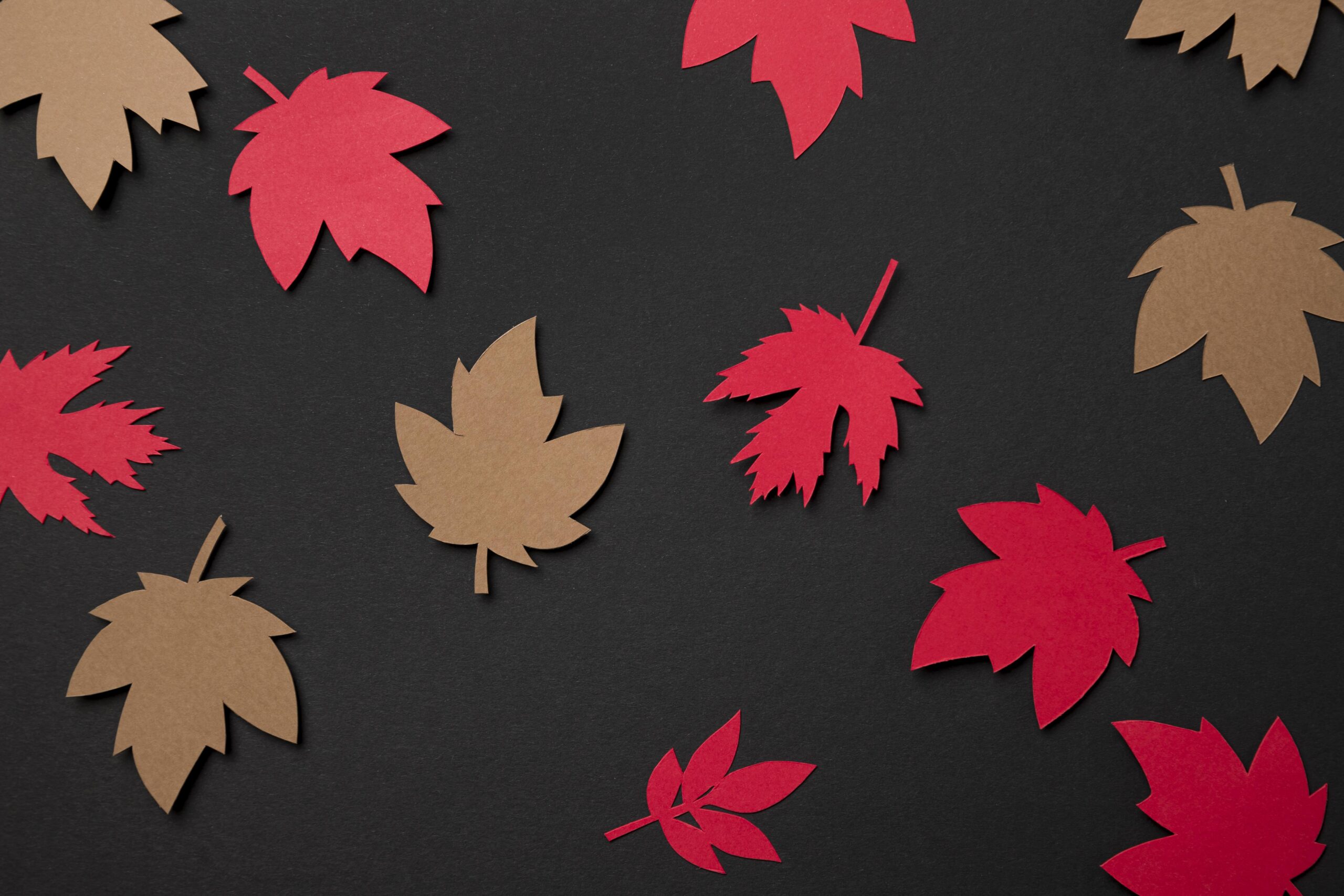 Vue de dessus papier arrangement de feuilles d automne (1)